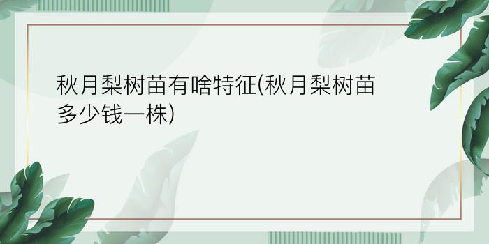 秋月梨树苗有啥特征(秋月梨树苗多少钱一株)