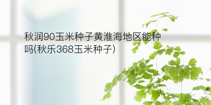 秋润90玉米种子黄淮海地区能种吗(秋乐368玉米种子)