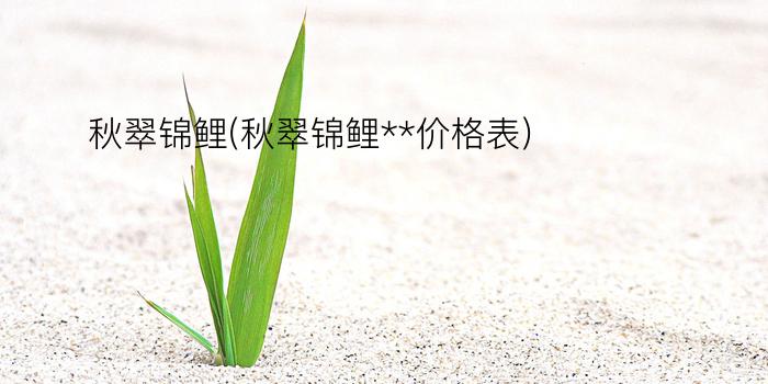 秋翠锦鲤(秋翠锦鲤**价格表)