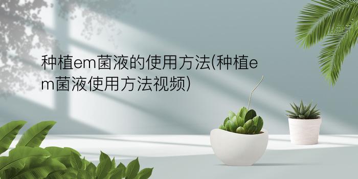 种植em菌液的使用方法(种植em菌液使用方法视频)