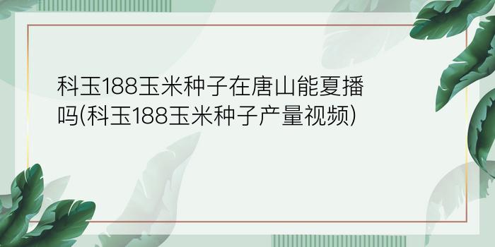 科玉188玉米种子在唐山能夏播吗(科玉188玉米种子产量视频)