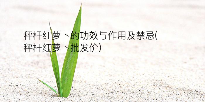 秤杆红萝卜的功效与作用及禁忌(秤杆红萝卜批发价)