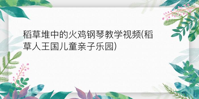 稻草堆中的火鸡钢琴教学视频(稻草人王国儿童亲子乐园)