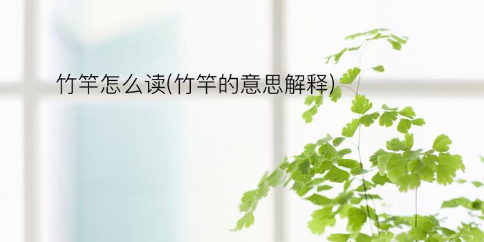 竹竿怎么读(竹竿的意思解释)