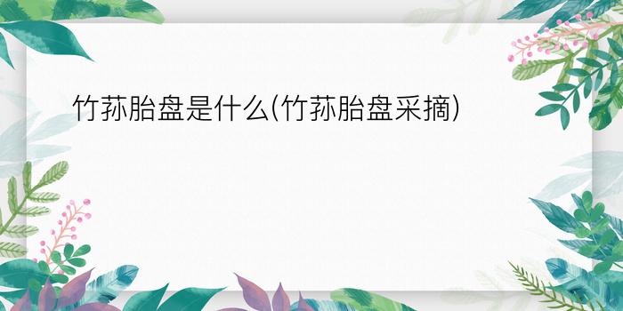 竹荪胎盘是什么(竹荪胎盘采摘)