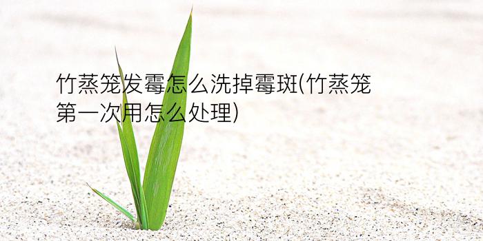 竹蒸笼发霉怎么洗掉霉斑(竹蒸笼第一次用怎么处理)