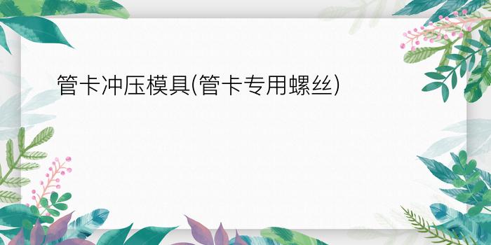 管卡冲压模具(管卡专用螺丝)