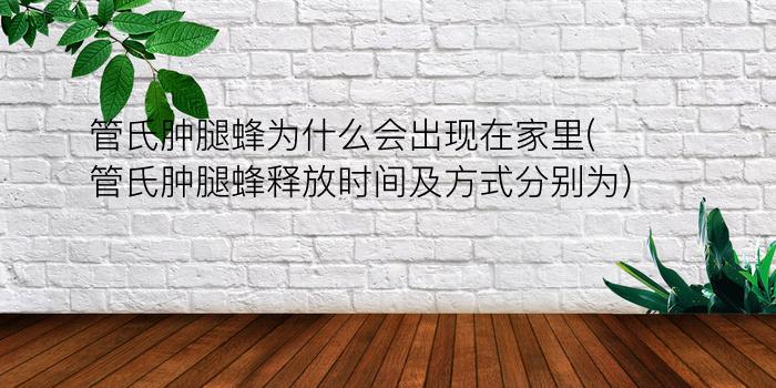 管氏肿腿蜂为什么会出现在家里(管氏肿腿蜂释放时间及方式分别为)