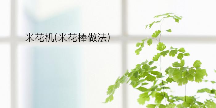 米花机(米花棒做法)