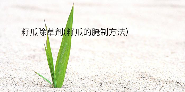 籽瓜除草剂(籽瓜的腌制方法)