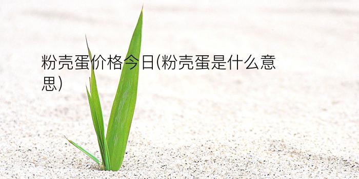 粉壳蛋价格今日(粉壳蛋是什么意思)