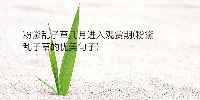 粉黛乱子草几月进入观赏期(粉黛乱子草的优美句子)