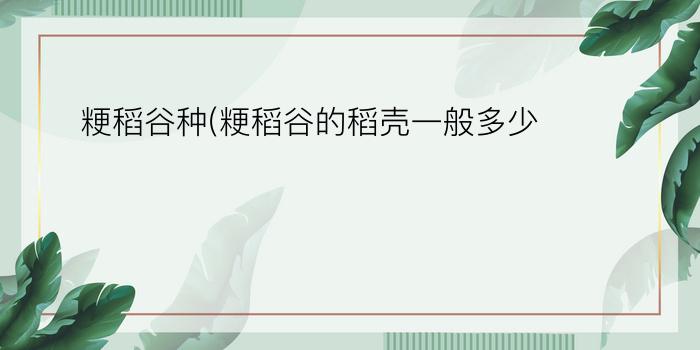 粳稻谷种(粳稻谷的稻壳一般多少)