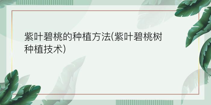 紫叶碧桃的种植方法(紫叶碧桃树种植技术)