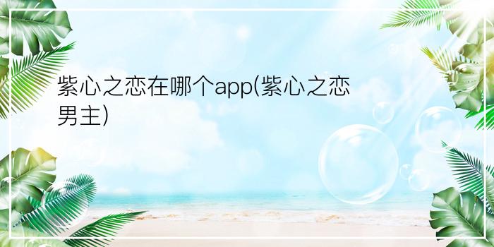 紫心之恋在哪个app(紫心之恋男主)