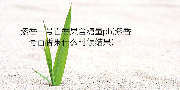 紫香一号百香果含糖量ph(紫香一号百香果什么时候结果)