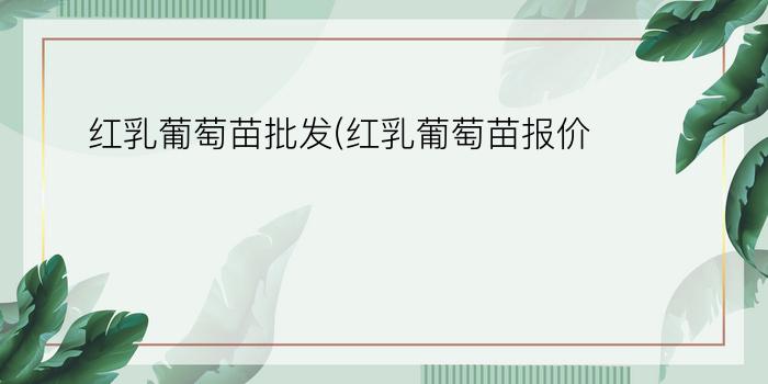 红乳葡萄苗批发(红乳葡萄苗报价)