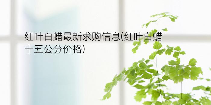 红叶白蜡最新求购信息(红叶白蜡十五公分价格)