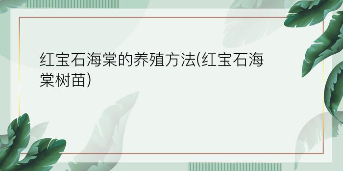 红宝石海棠的养殖方法(红宝石海棠树苗)