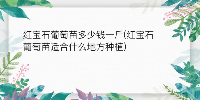 红宝石葡萄苗多少钱一斤(红宝石葡萄苗适合什么地方种植)