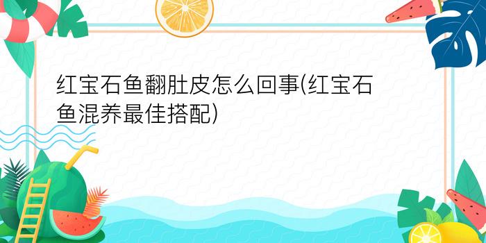 红宝石鱼翻肚皮怎么回事(红宝石鱼混养最佳搭配)