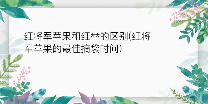 红将军苹果和红**的区别(红将军苹果的最佳摘袋时间)