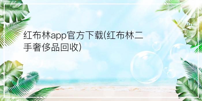 红布林app官方下载(红布林二手奢侈品回收)