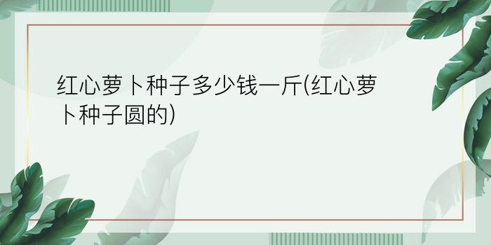 红心萝卜种子多少钱一斤(红心萝卜种子圆的)