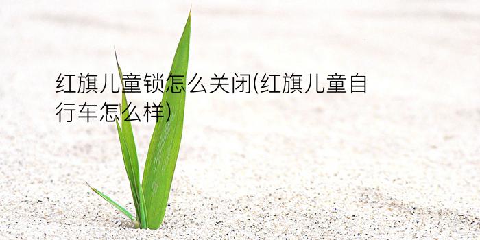 红旗儿童锁怎么关闭(红旗儿童自行车怎么样)