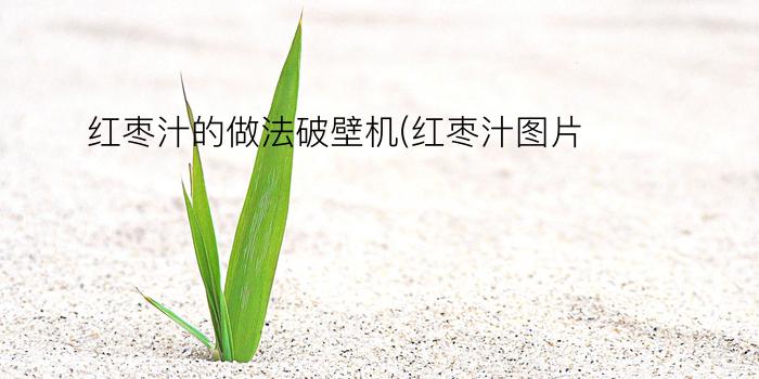 红枣汁的做法破壁机(红枣汁图片)