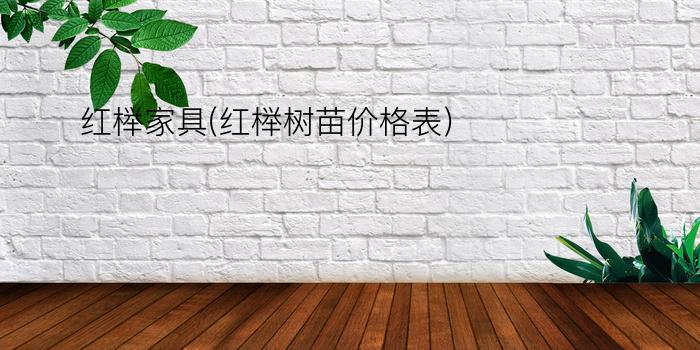 红榉家具(红榉树苗价格表)