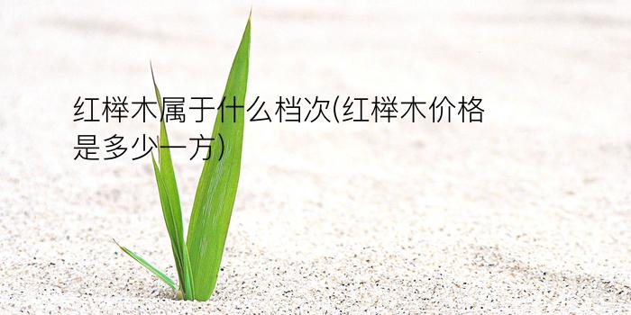 红榉木属于什么档次(红榉木价格是多少一方)