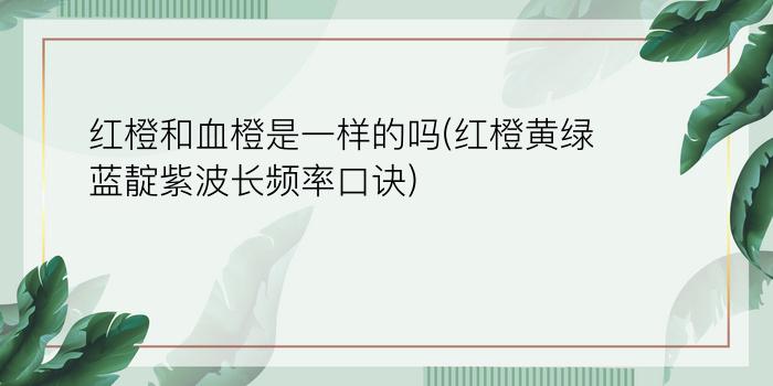 红橙和血橙是一样的吗(红橙黄绿蓝靛紫波长频率口诀)