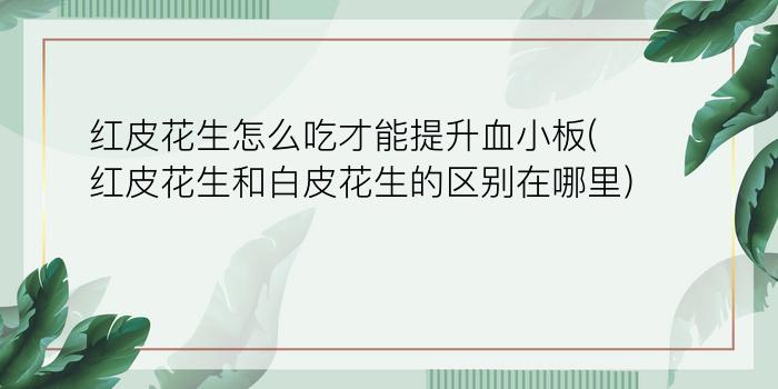 红皮花生怎么吃才能提升血小板(红皮花生和白皮花生的区别在哪里)