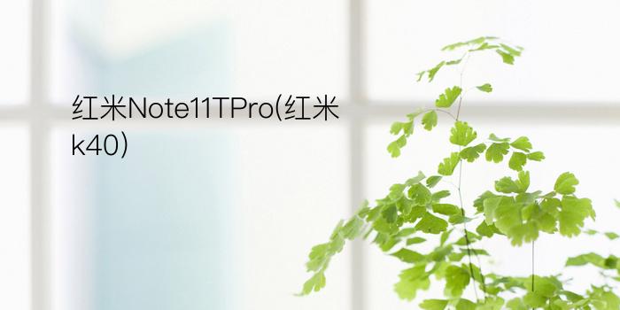 红米Note11TPro(红米k40)