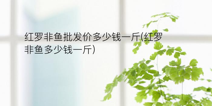 红罗非鱼批发价多少钱一斤(红罗非鱼多少钱一斤)