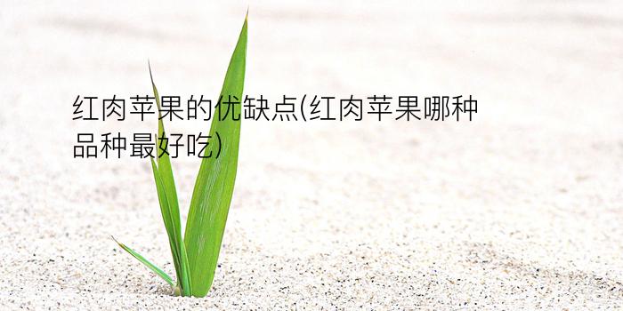 红肉苹果的优缺点(红肉苹果哪种品种最好吃)