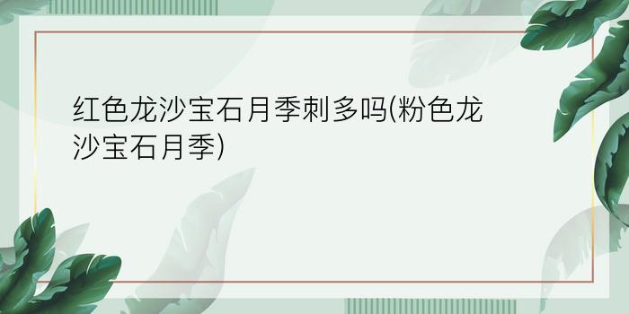 红色龙沙宝石月季刺多吗(粉色龙沙宝石月季)