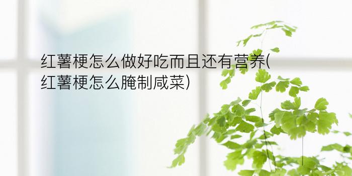 红薯梗怎么做好吃而且还有营养(红薯梗怎么腌制咸菜)