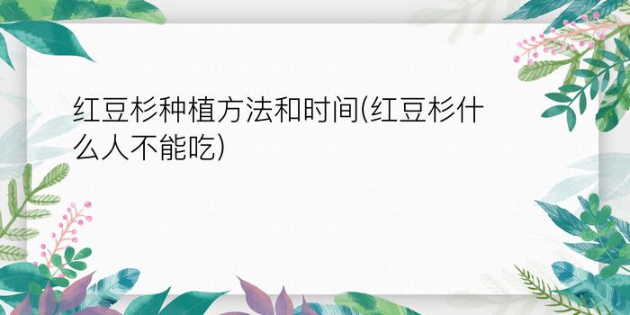 红豆杉种植方法和时间(红豆杉什么人不能吃)