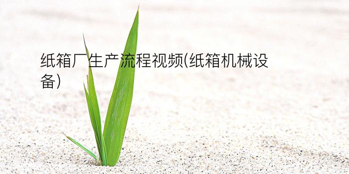 纸箱厂生产流程视频(纸箱机械设备)