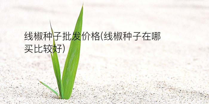 线椒种子批发价格(线椒种子在哪买比较好)