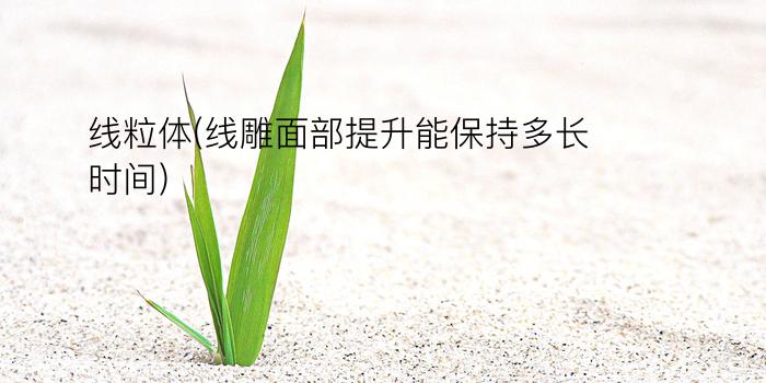 线粒体(线雕面部提升能保持多长时间)