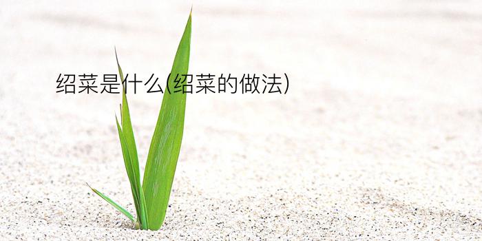 绍菜是什么(绍菜的做法)