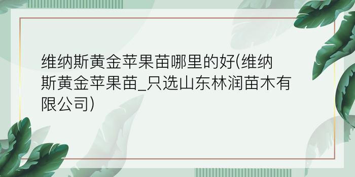 维纳斯黄金苹果苗哪里的好(维纳斯黄金苹果苗_只选山东林润苗木有限公司)