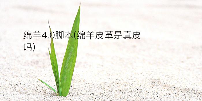 绵羊4.0脚本(绵羊皮革是真皮吗?)