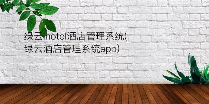 绿云ihotel酒店管理系统(绿云酒店管理系统app)