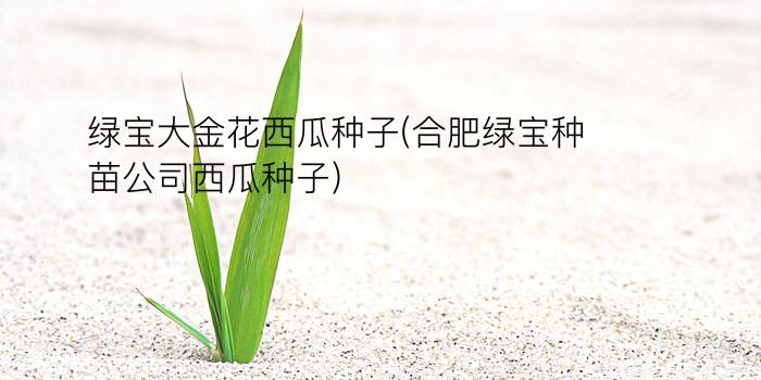 绿宝大金花西瓜种子(合肥绿宝种苗公司西瓜种子)