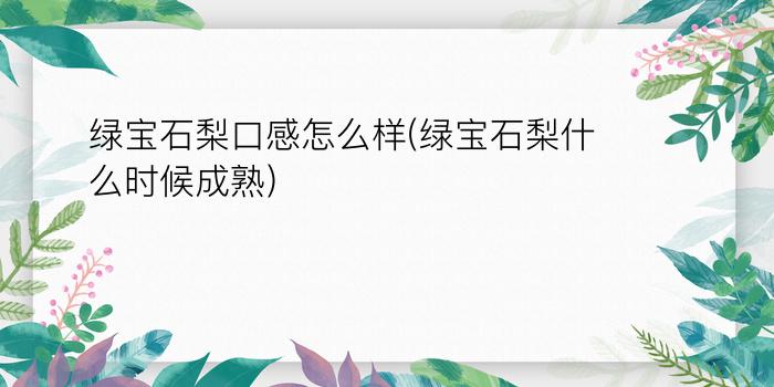 绿宝石梨口感怎么样(绿宝石梨什么时候成熟)