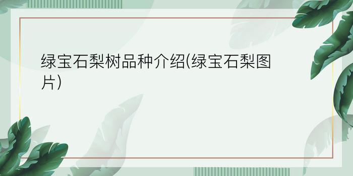 绿宝石梨树品种介绍(绿宝石梨图片)